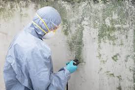 Best Environmental Consulting for Mold Prevention  in Fort Totten, ND